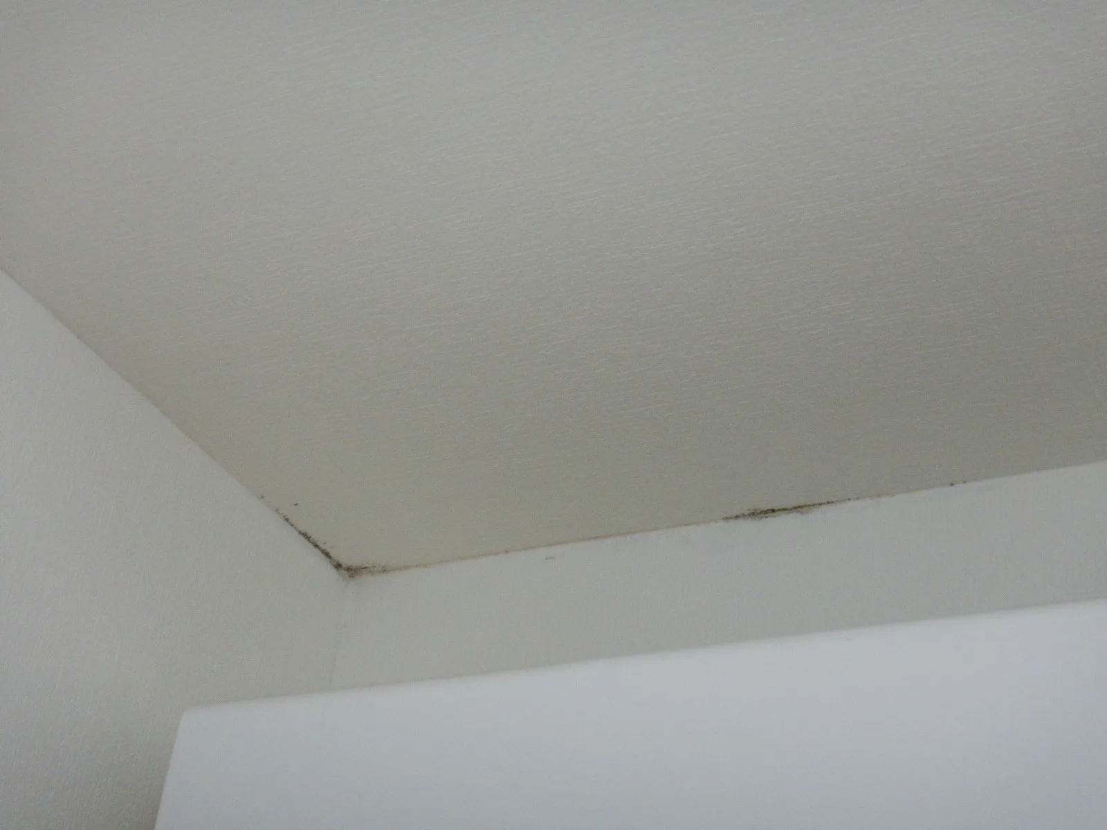 【埼玉賃貸】カビ臭い部屋天井コンクリート下地直張り壁紙の対策