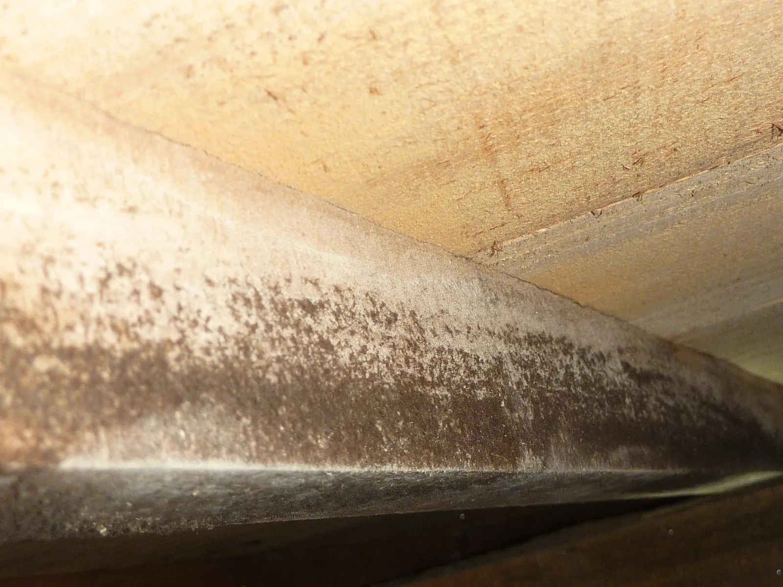 住宅床下木材合板カビには防カビ工事を！