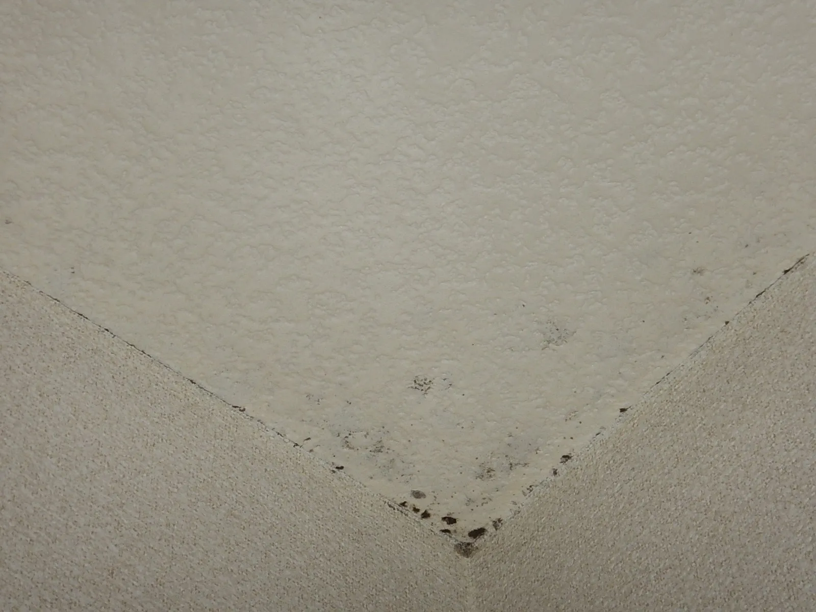 天井壁紙コンクリート下地結露カビを繰り返さないために