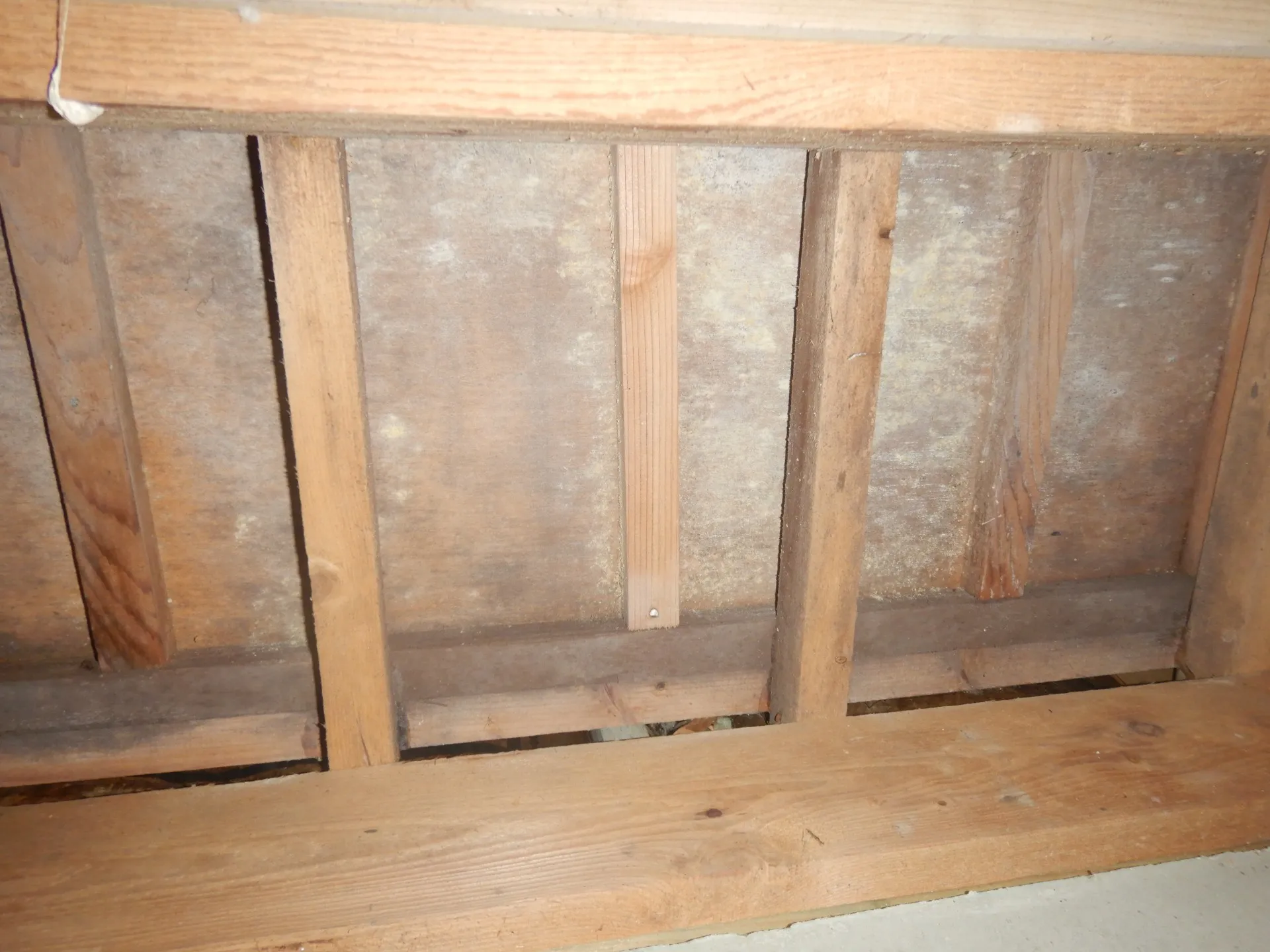 【カビ臭対策】住宅押入れベニアと床下底板側防カビ工事