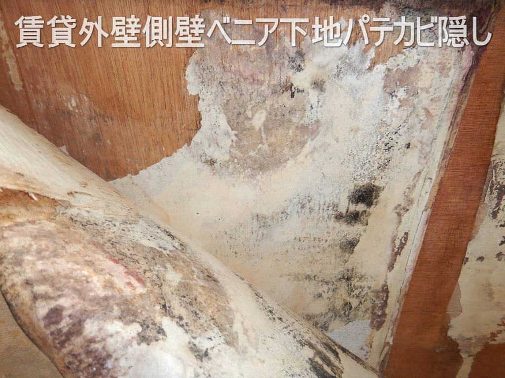 賃貸のカビ臭が止まらないのはカビ取りよりカビ隠しを行っているから | ブログ | 埼玉の防カビ工事なら「有限会社プレモ」