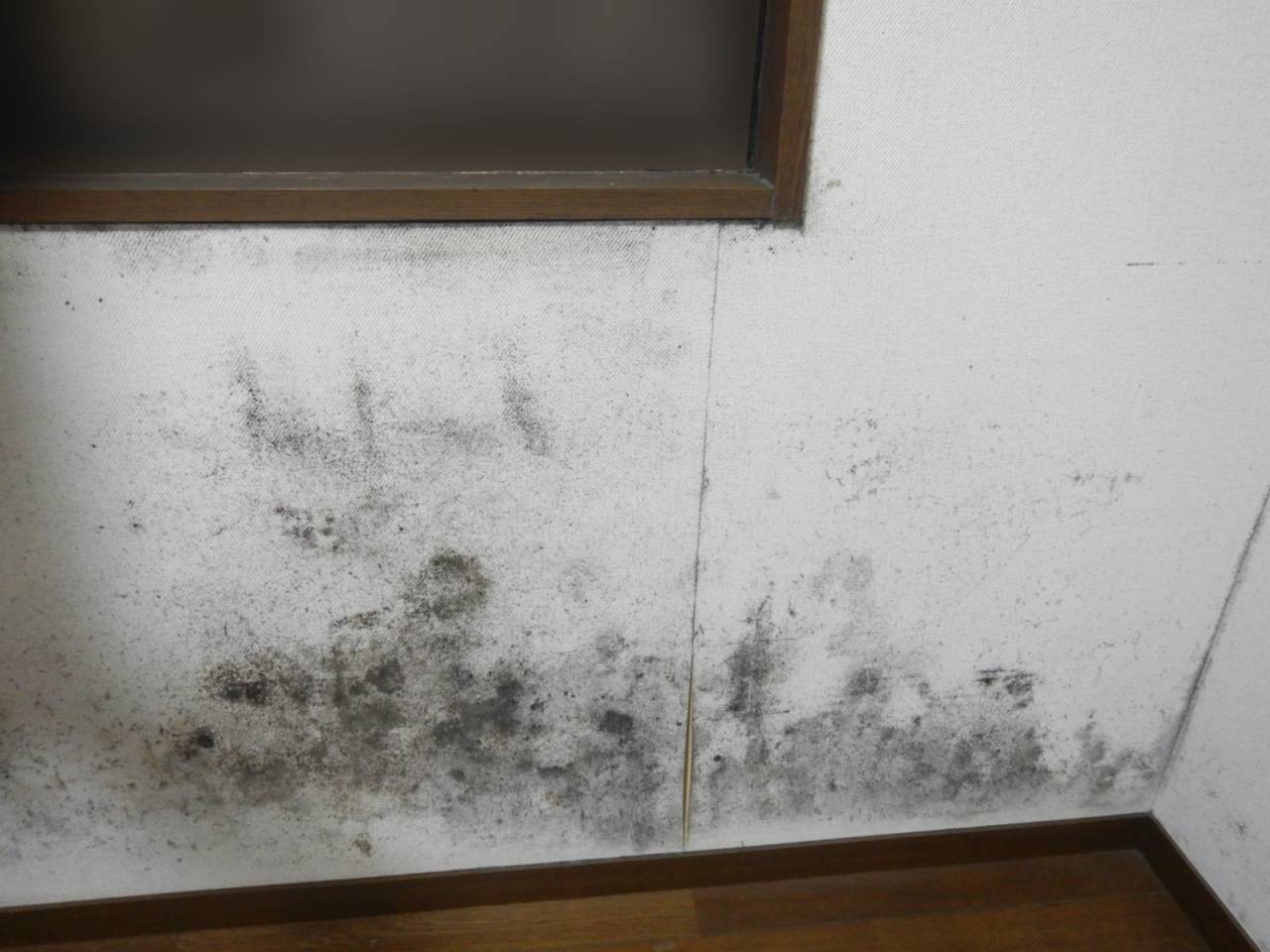 カビだらけのカビ臭い部屋には防カビ工事を必ず行いましょう | ブログ | 埼玉の防カビ工事なら「有限会社プレモ」