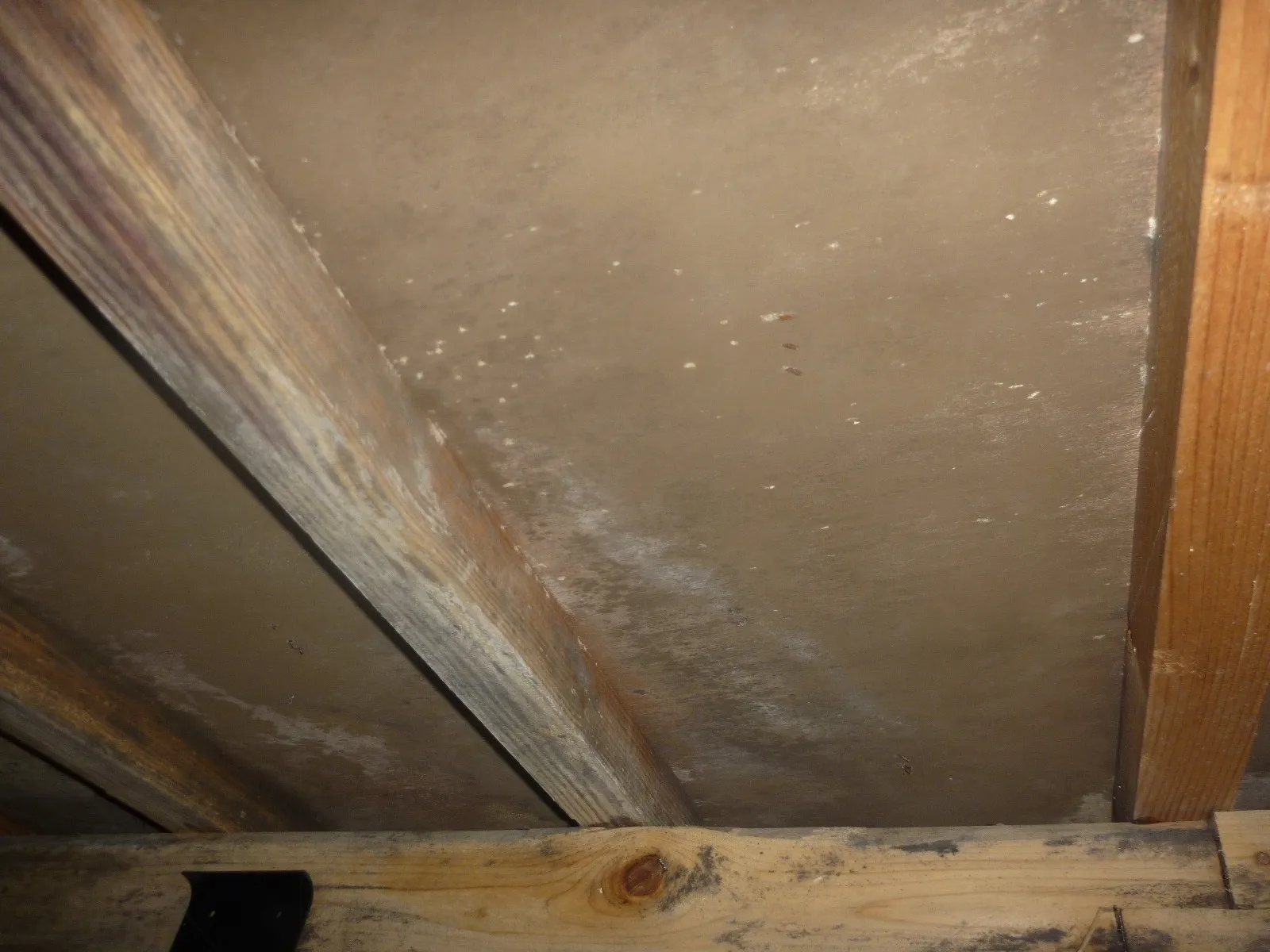 【出張防カビ工事】難易度が高かった床下木材合板カビ