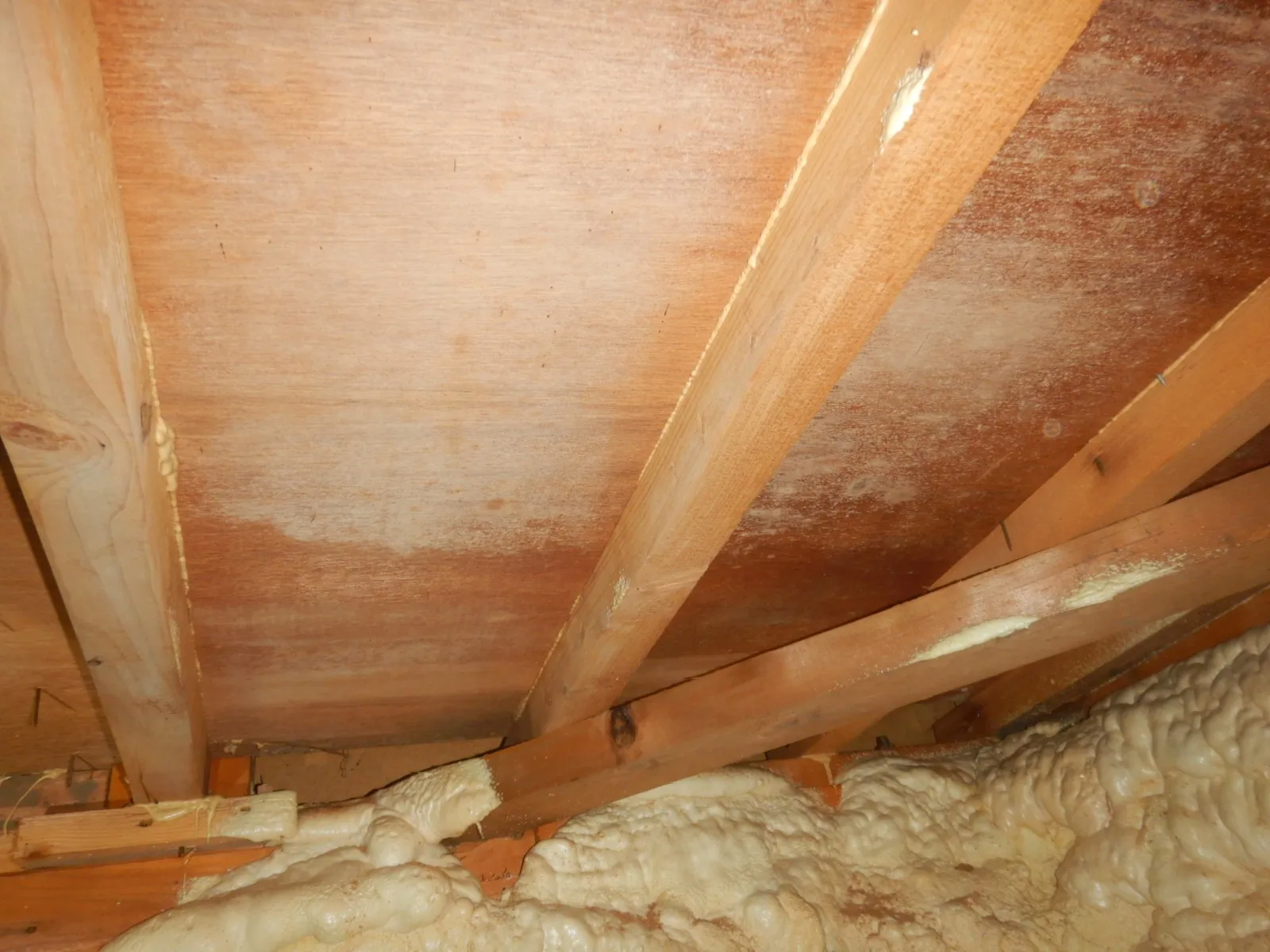 床下基礎内断熱木材合板防カビ工事