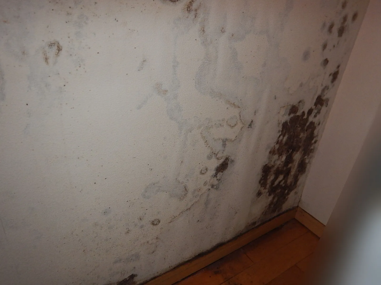 壁紙コンクリート下地結露カビが酷い時は防カビ工事前に結露対策を