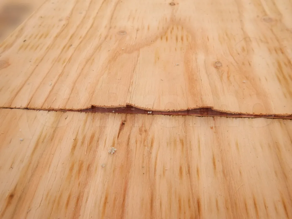 雨に濡れた建築中注文住宅の木材合板カビ対策は行うべき