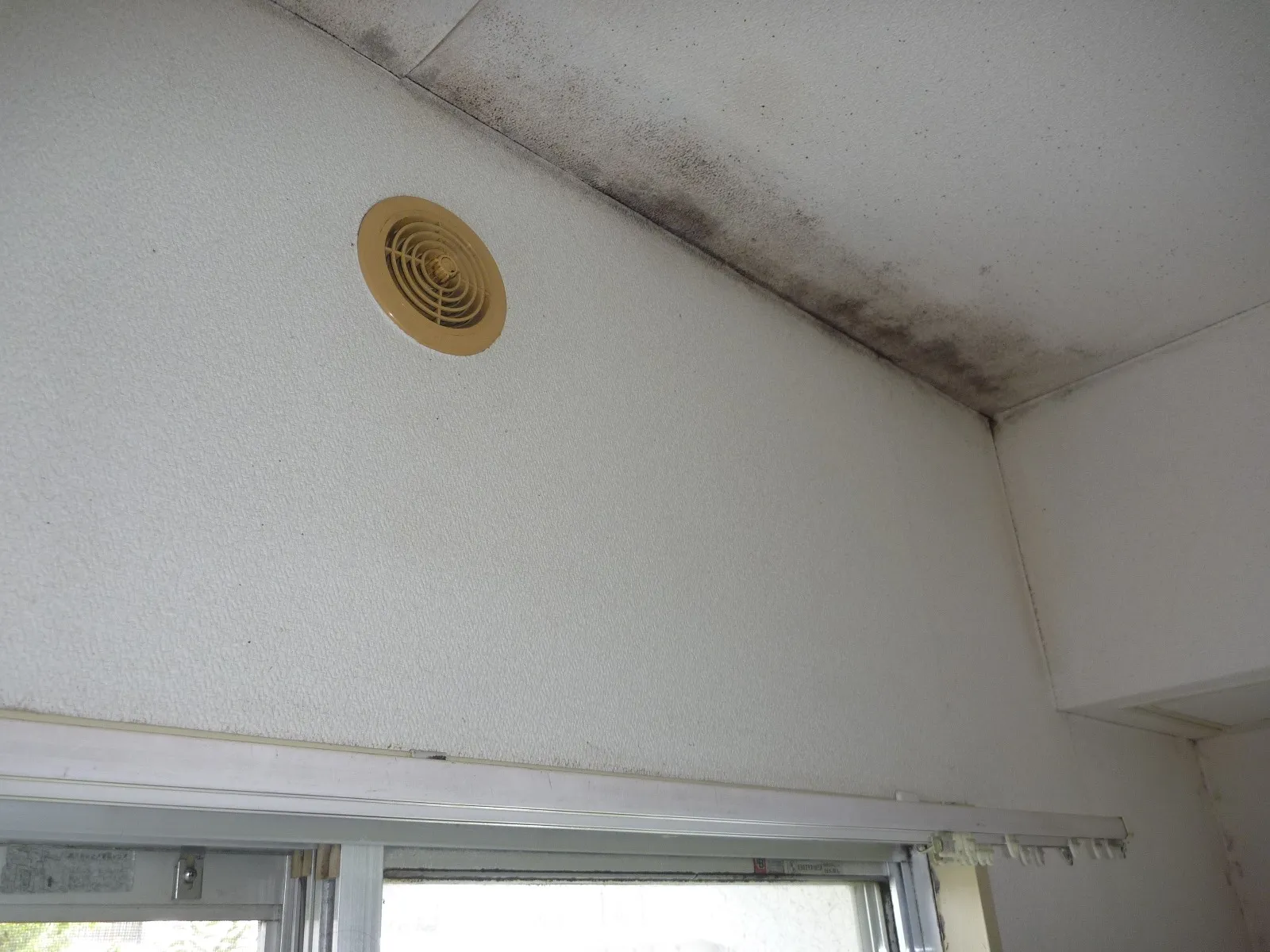 天井壁紙カビは下地カビ取り・防カビ工事が必須