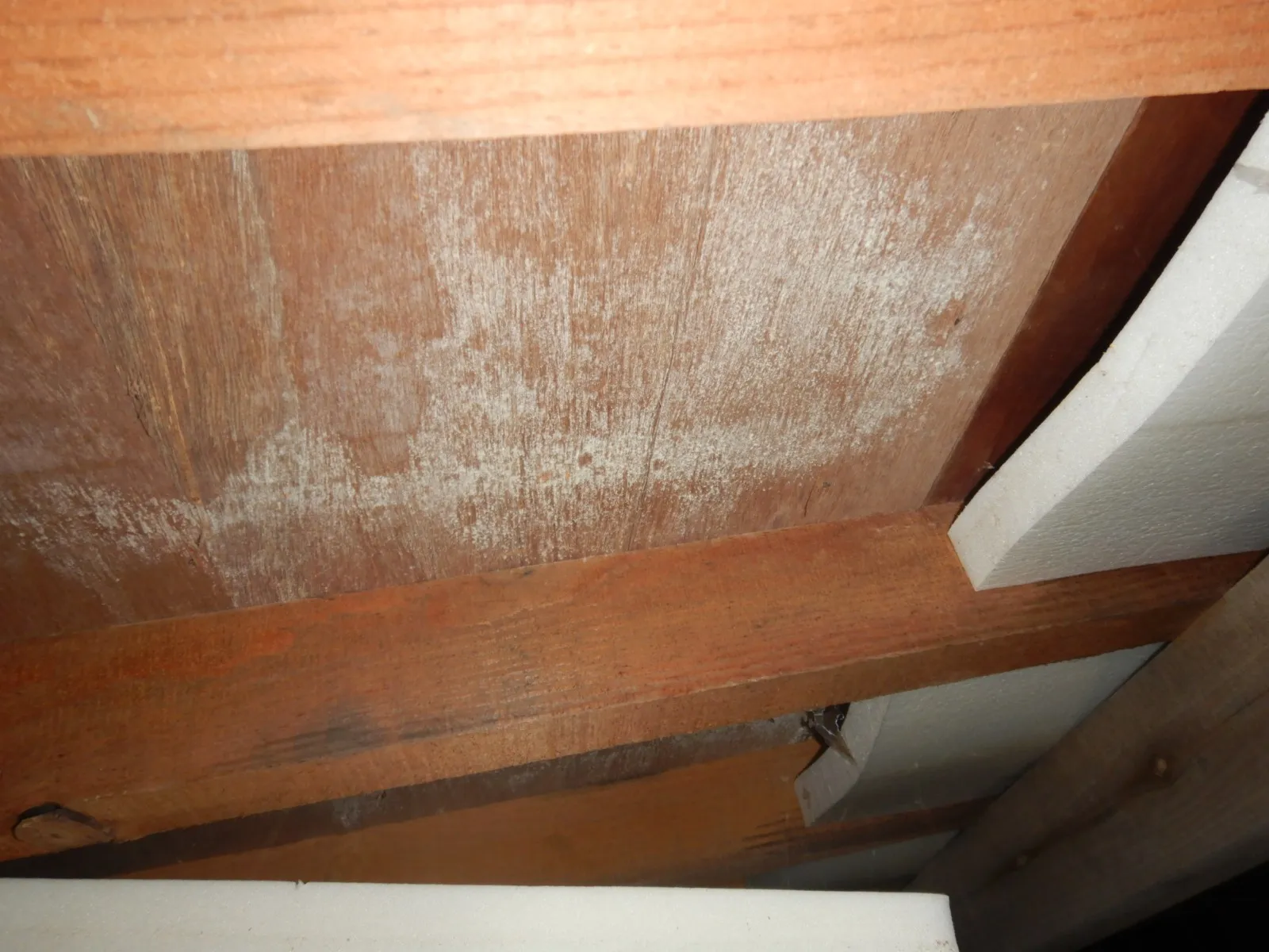 住宅床下垂れた断熱材合板防カビ工事