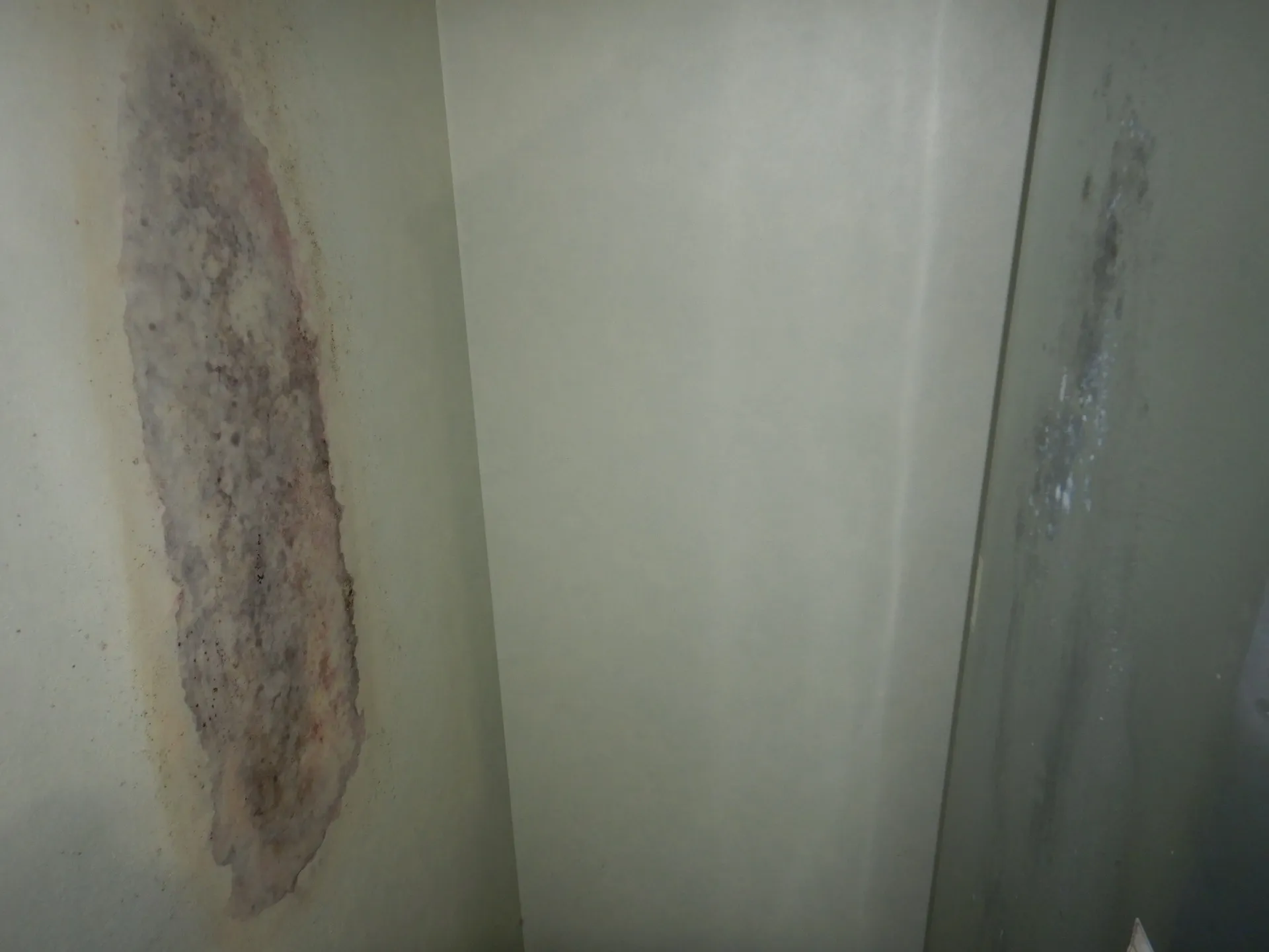 冷蔵庫を壁にピッタリ設置し続けると壁紙カビが発生する