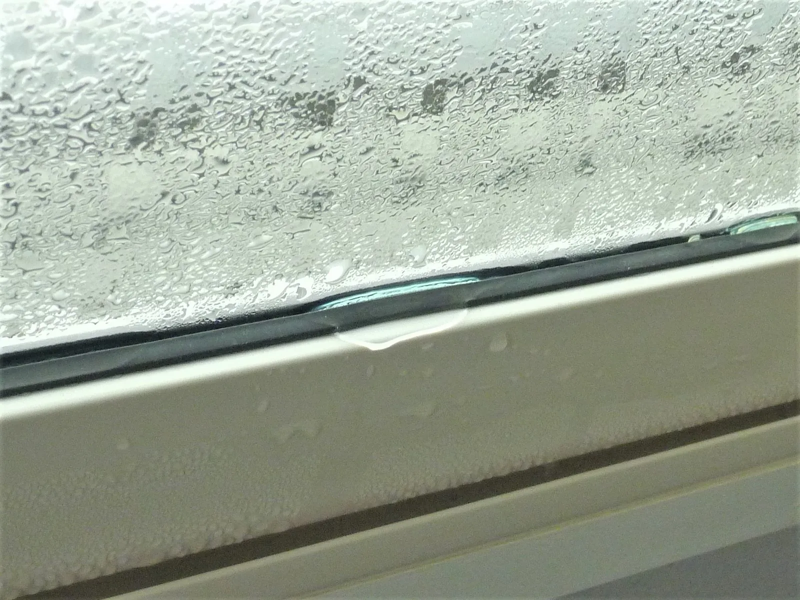 内窓結露による壁紙カビは対策可能か？