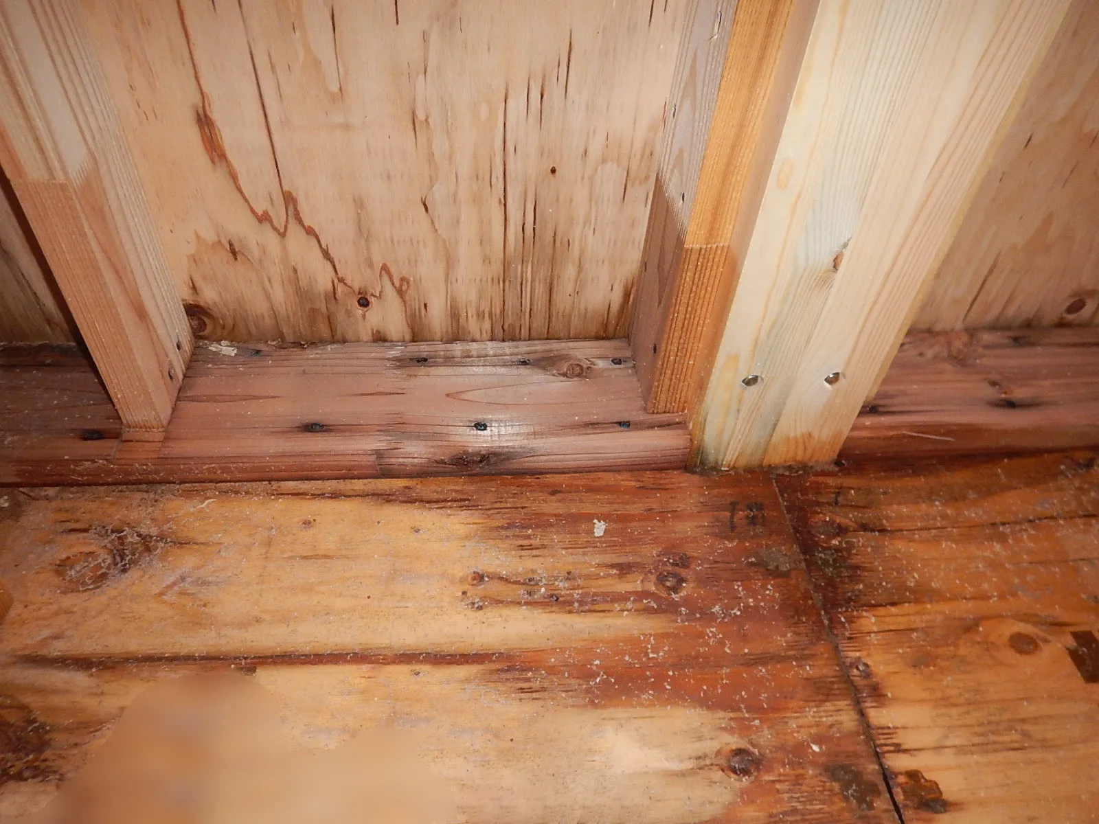 急な豪雨で濡れた建築中木材合板にカビは発生するか？