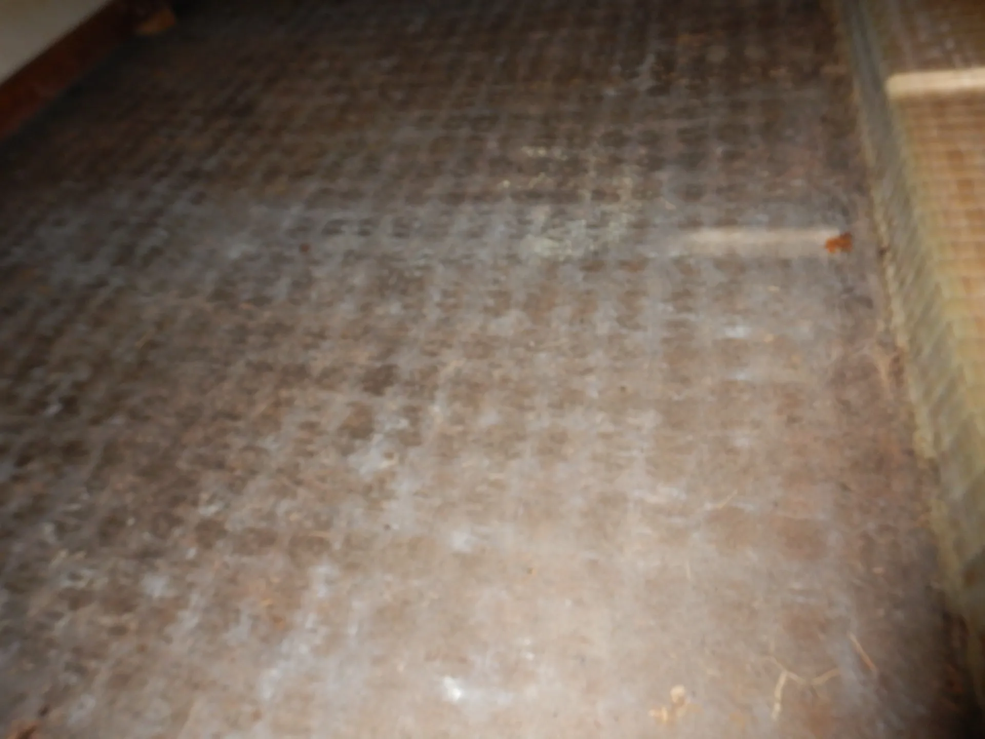 別荘畳荒床と押入れ底板合板カビは危険