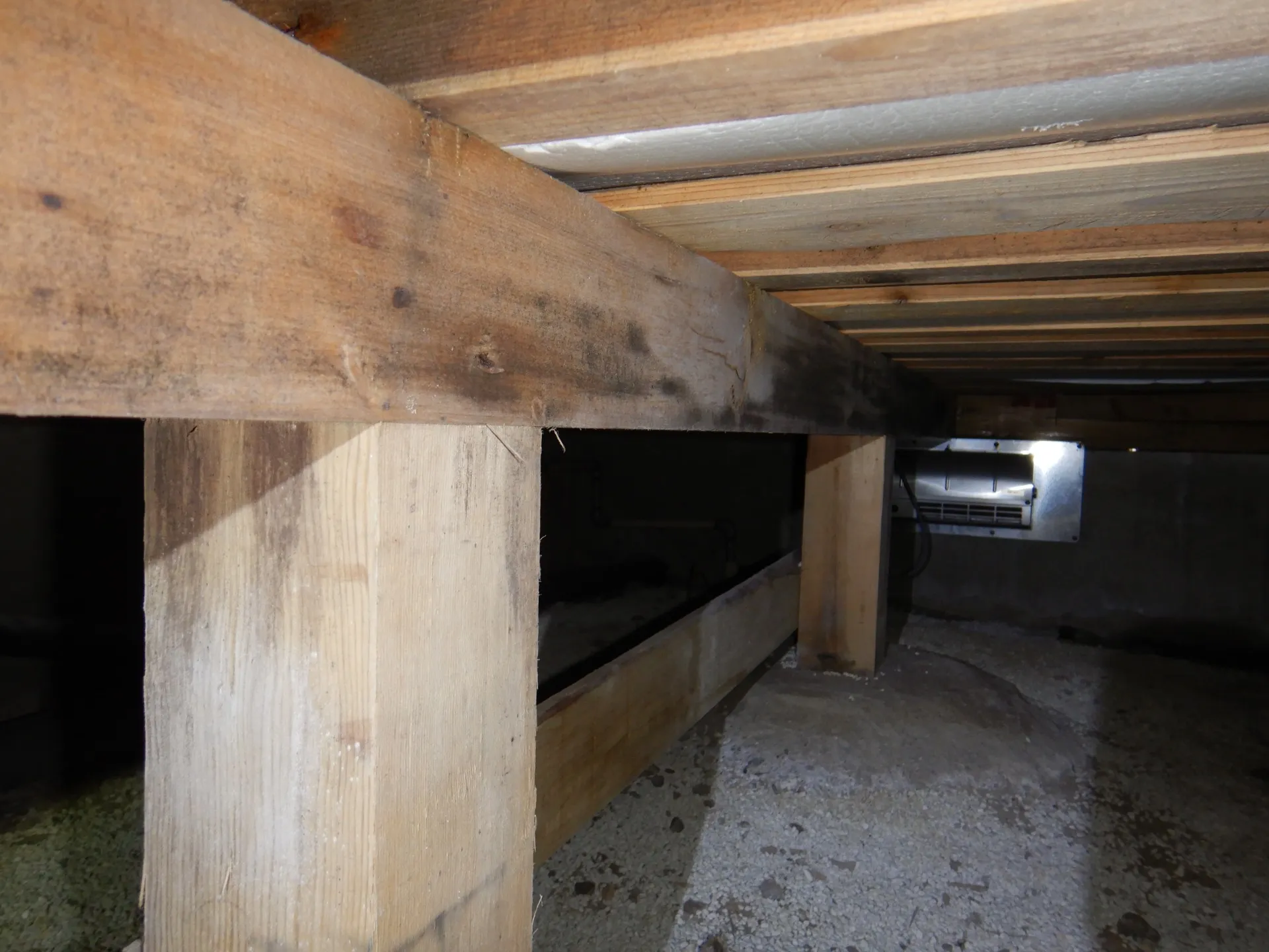 【埼玉県飯能市】床下木材合板カビには防カビ工事をしましょう！