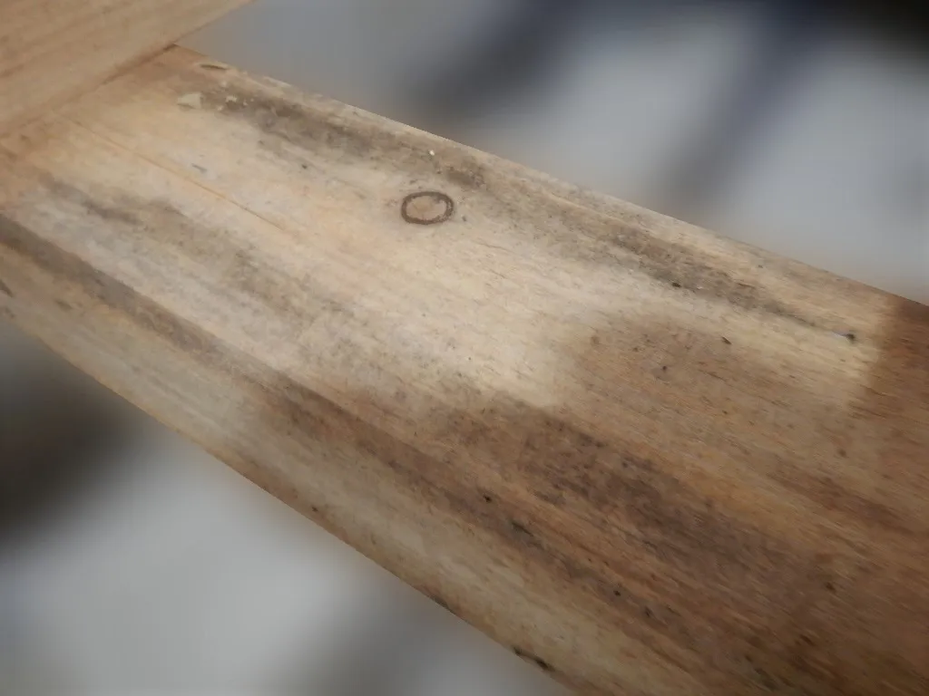 床下木材合板カビには防カビ工事しかない！