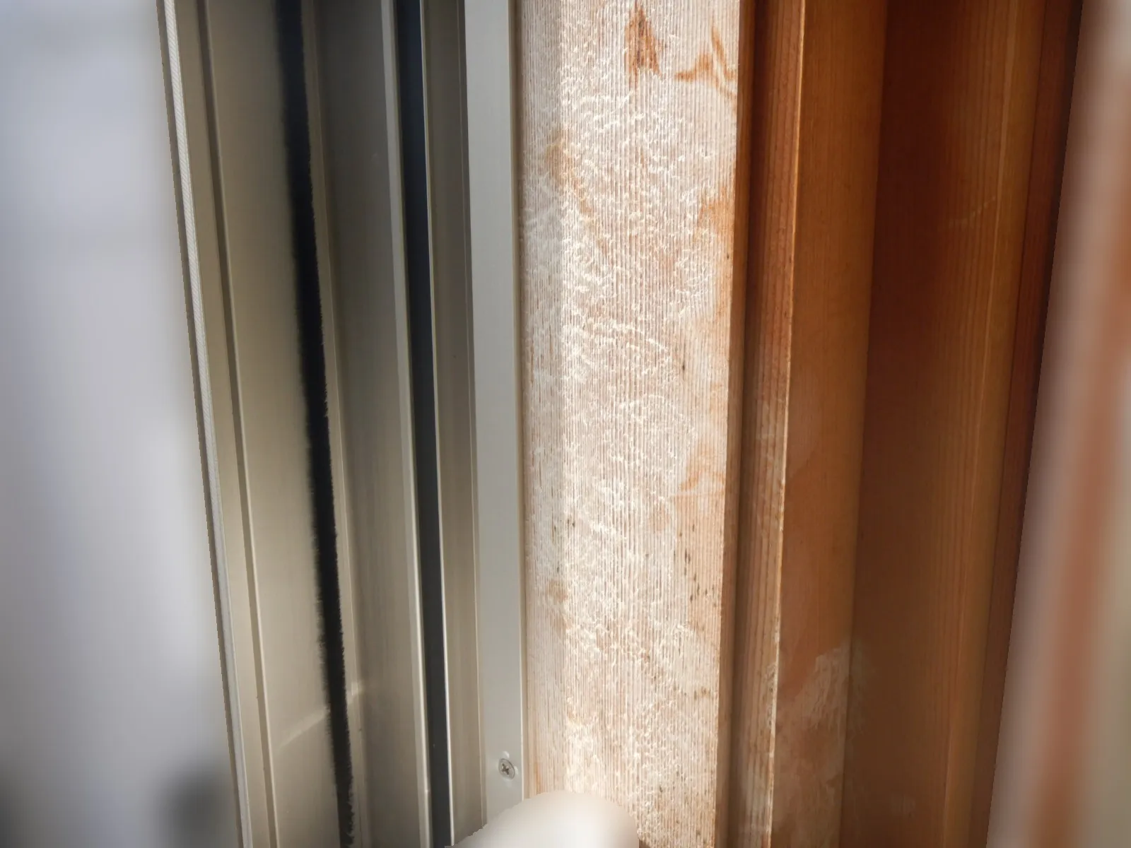 和室木製窓枠カビ取りを行う時は細心の注意が必要