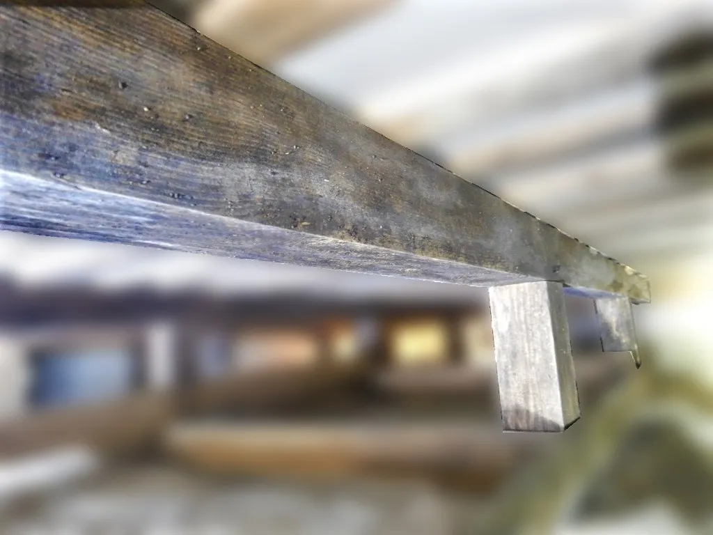床下木材合板にカビ取りせずにシロアリ駆除剤を塗布するのはダメ
