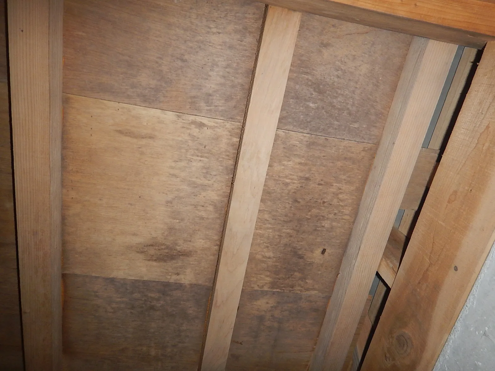 中古住宅床下木材合板防カビ工事