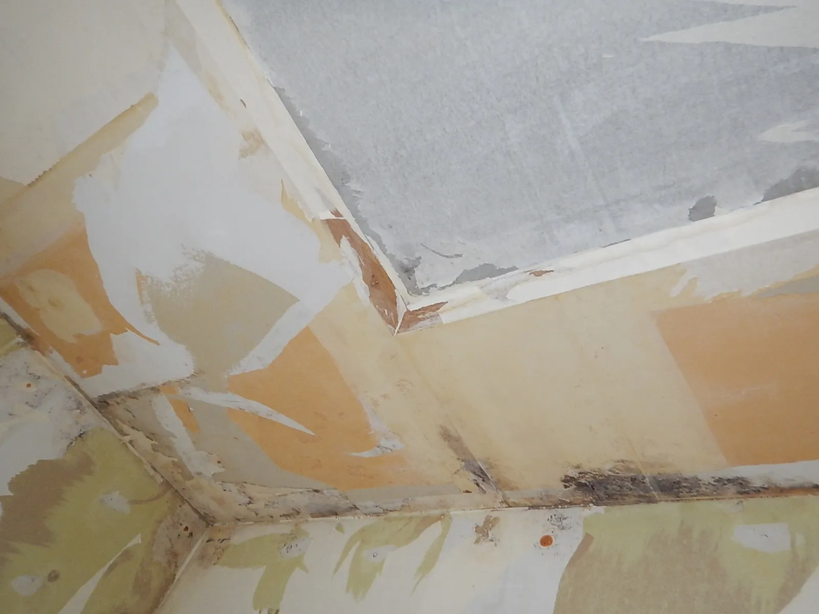 天井結露対策後の石膏ボード防カビ工事