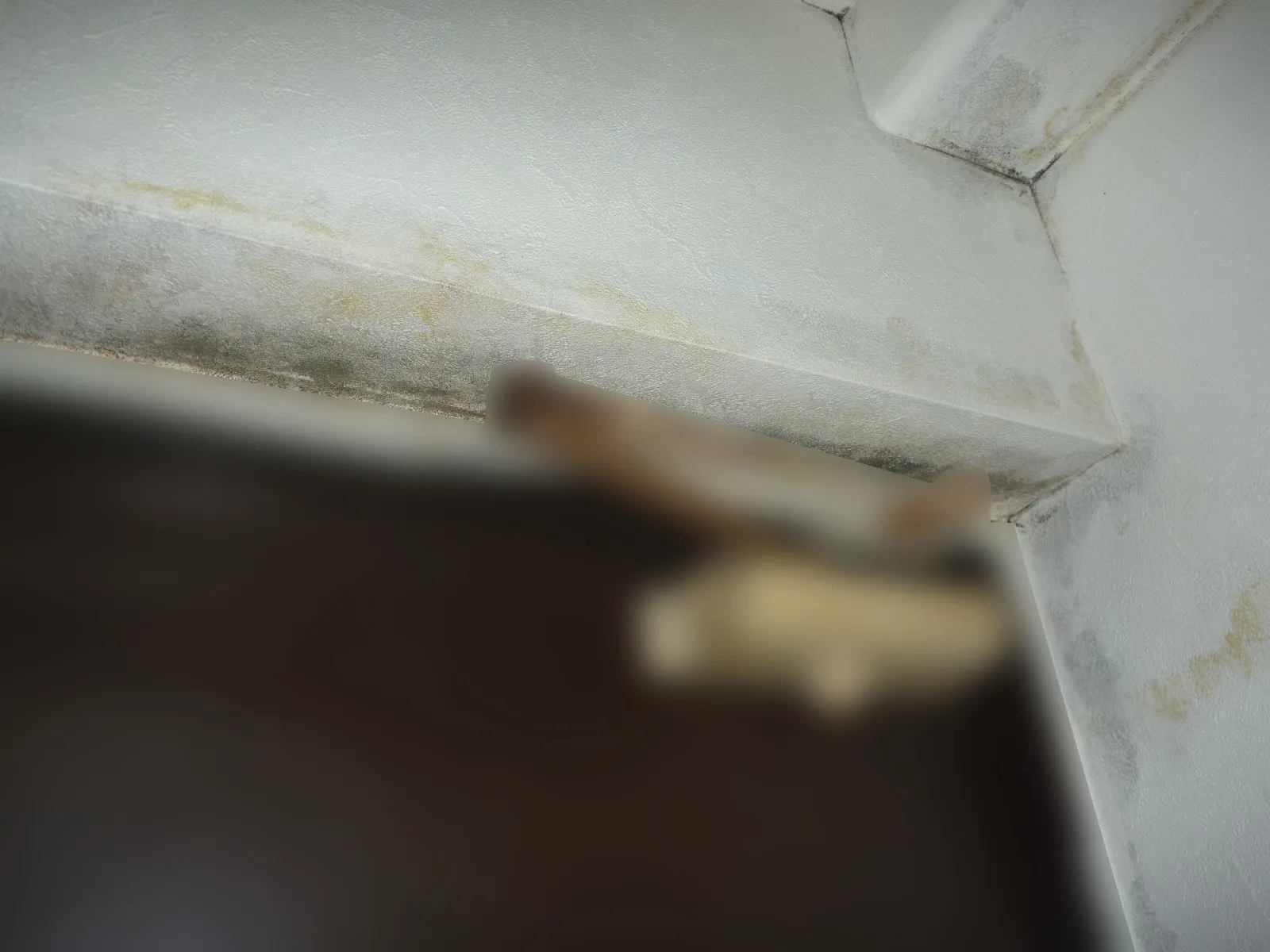 分譲マンション玄関ドア枠結露で壁紙カビが発生していませんか？