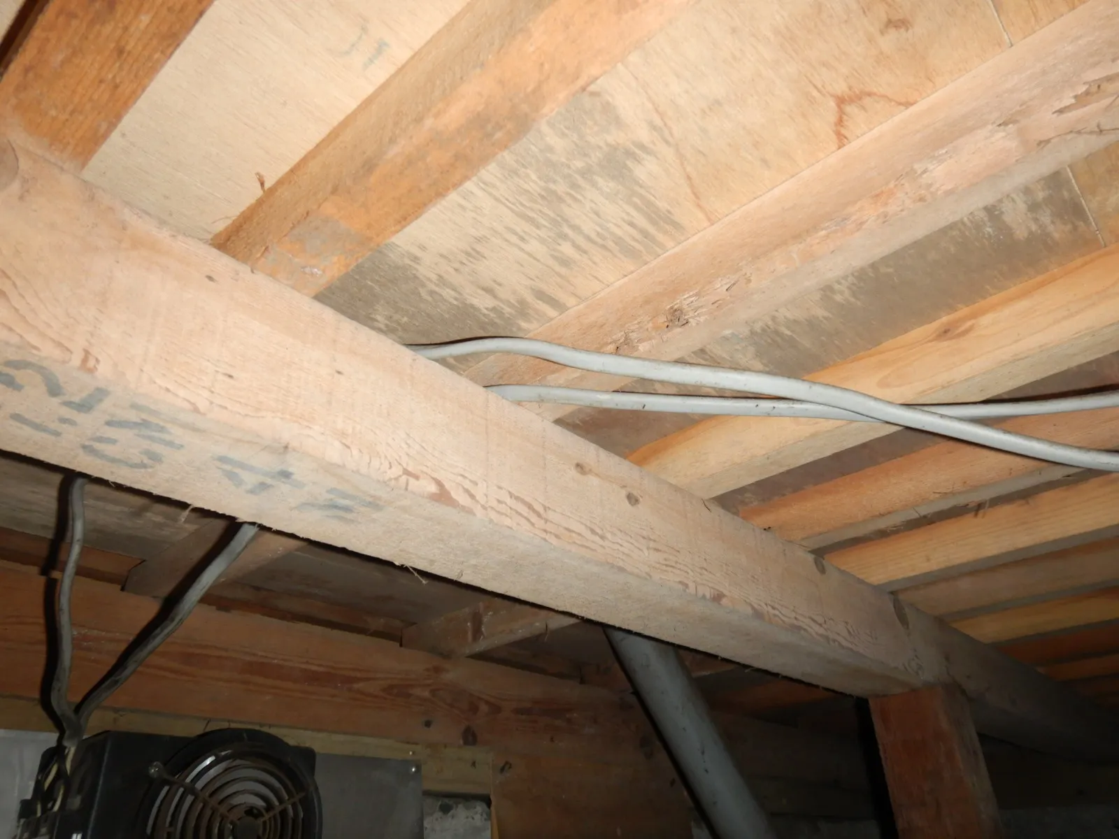 築30年以上中古住宅購入時の床下木材合板防カビ工事必要性