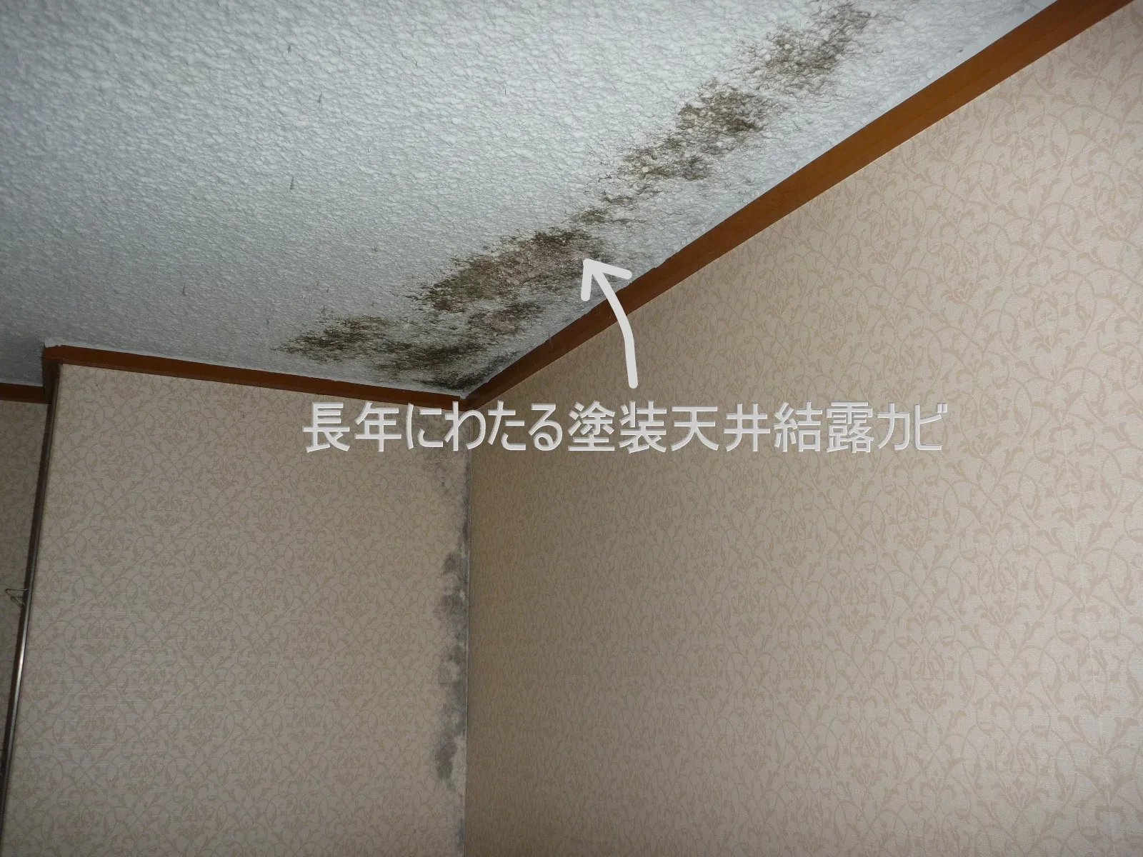 塗装天井結露対策防カビ塗装工事
