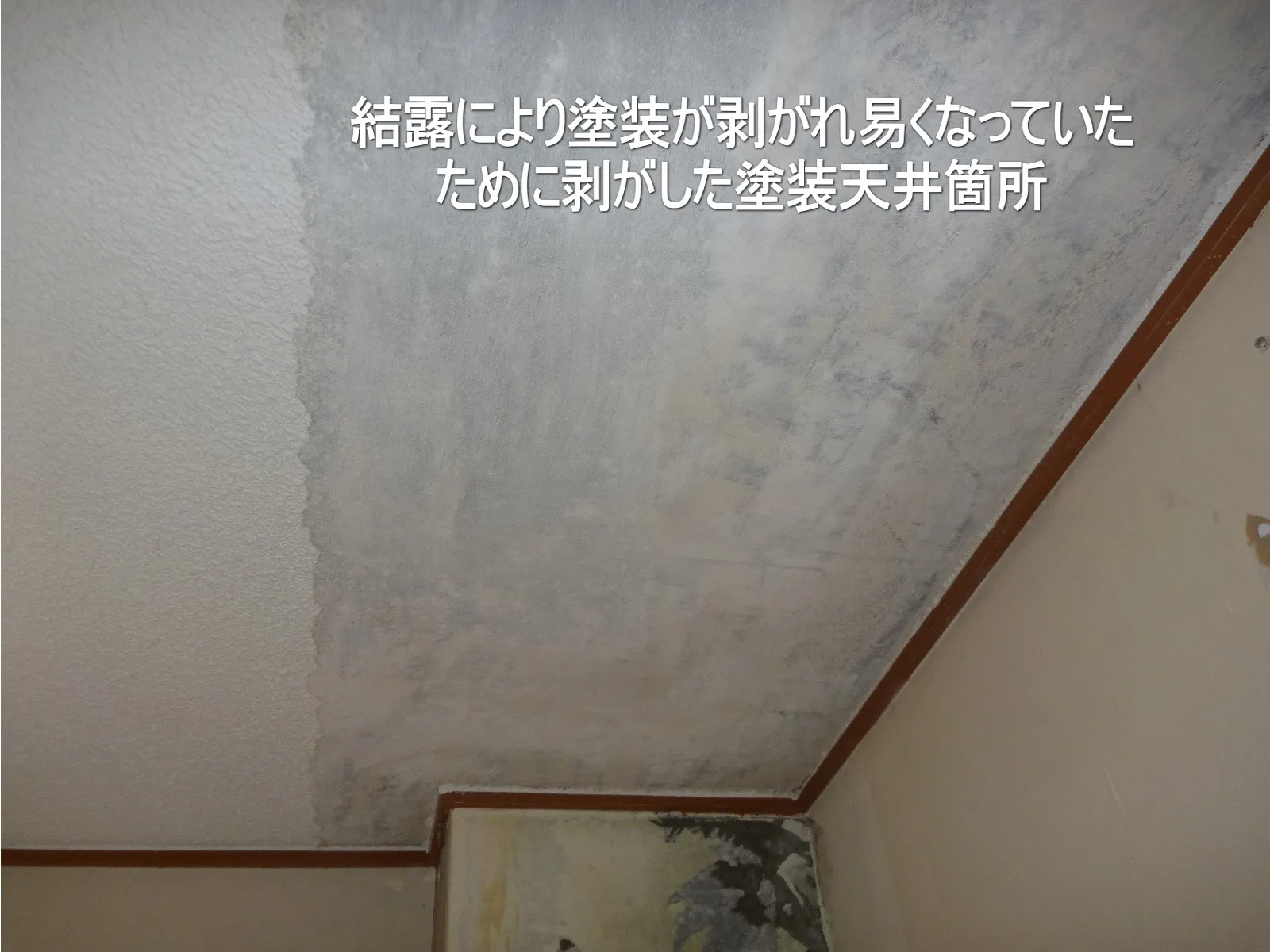 塗装天井結露カビの結露対策防カビ塗装工事