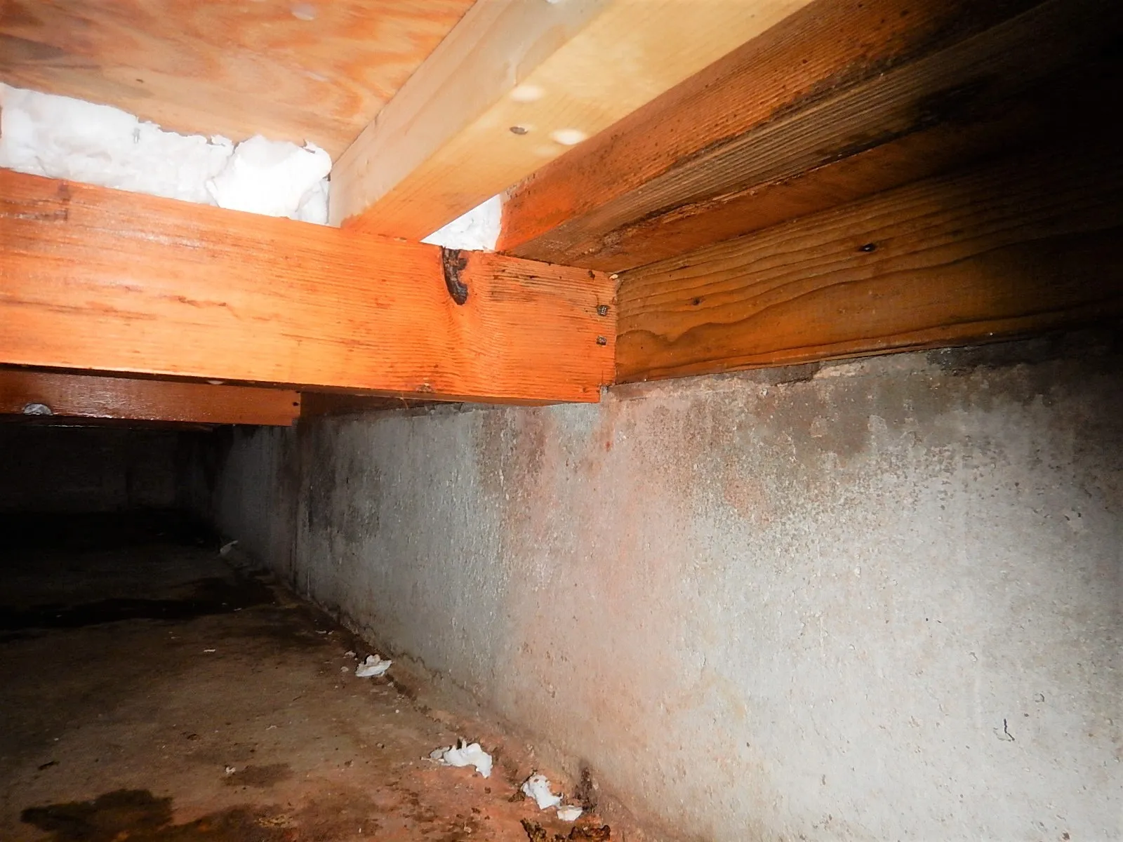 床下漏水事故後の大引き・根太のカビと腐朽菌防カビ工事
