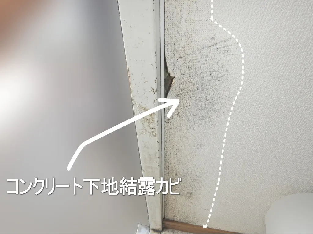 マンション壁紙コンクリート下地結露カビは防げます