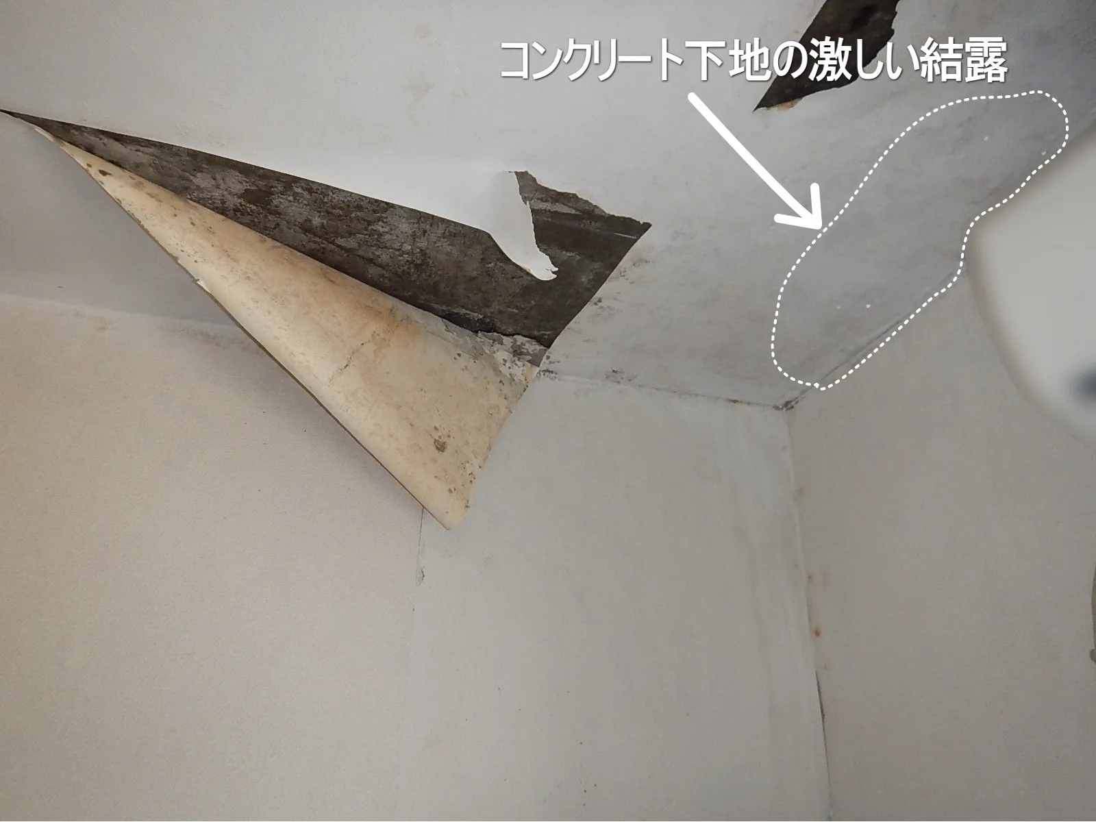 東京の天井コンクリート下地壁紙結露カビは止められる