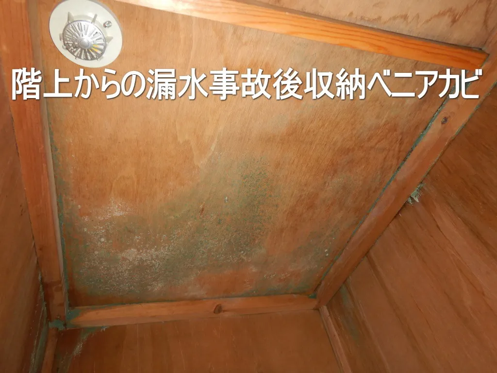 埼玉の店舗内漏水事故後収納カビ