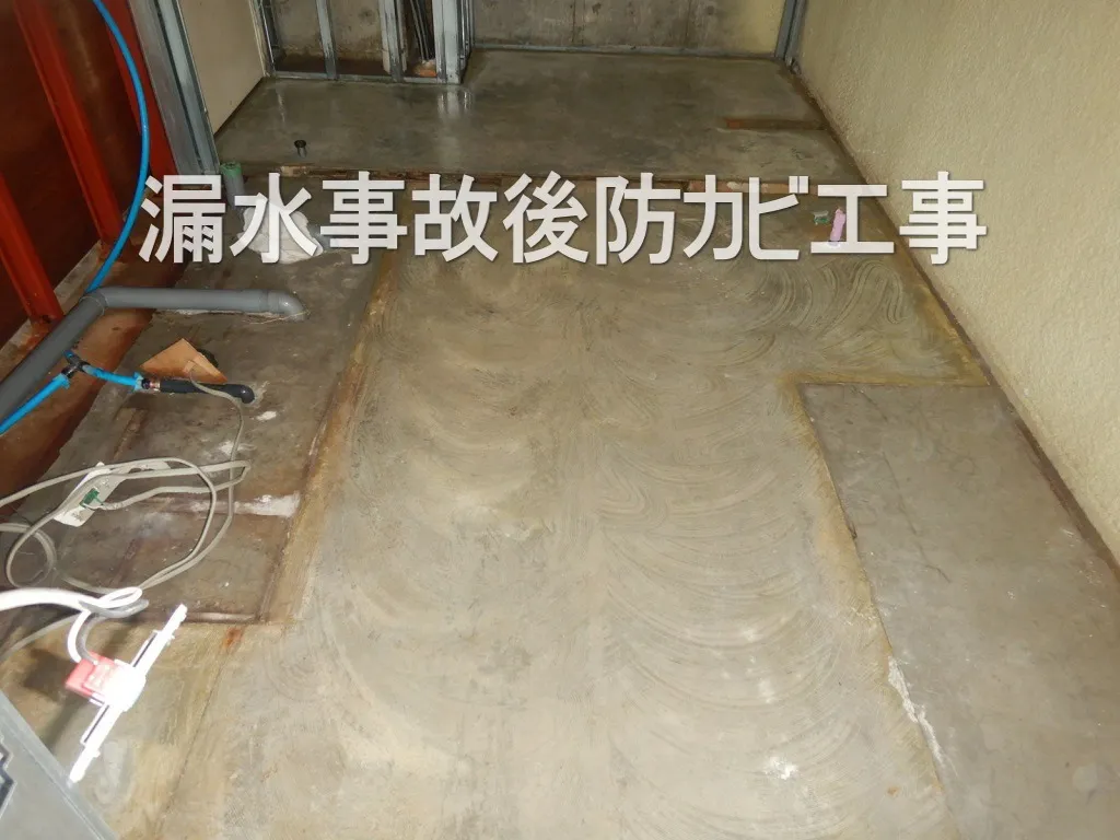 埼玉県さいたま市漏水事故後防カビ工事