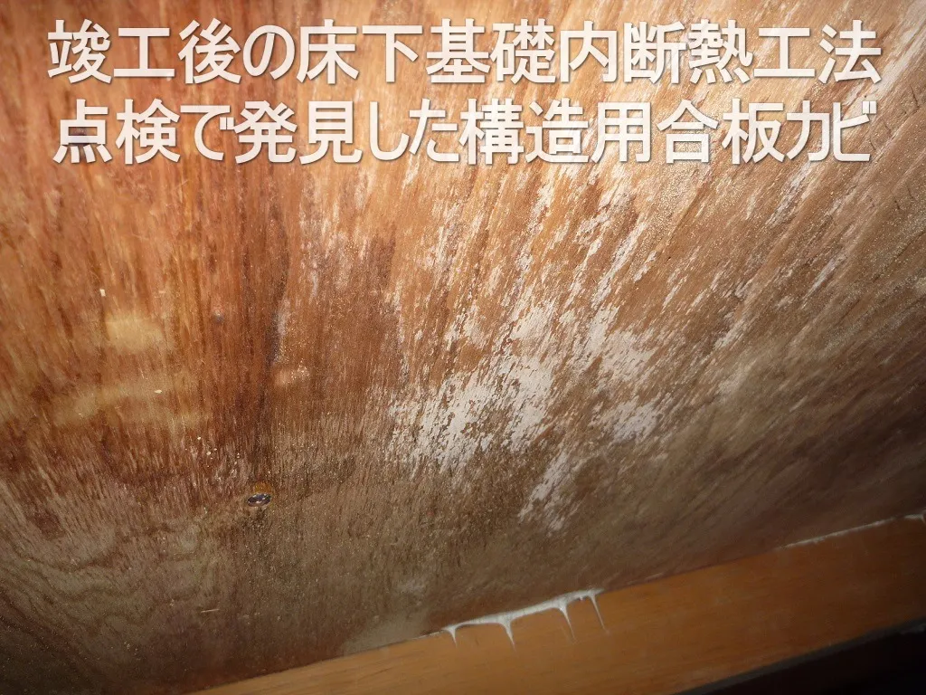 埼玉・東京の床下基礎内断熱工法構造用合板カビの点検してますか