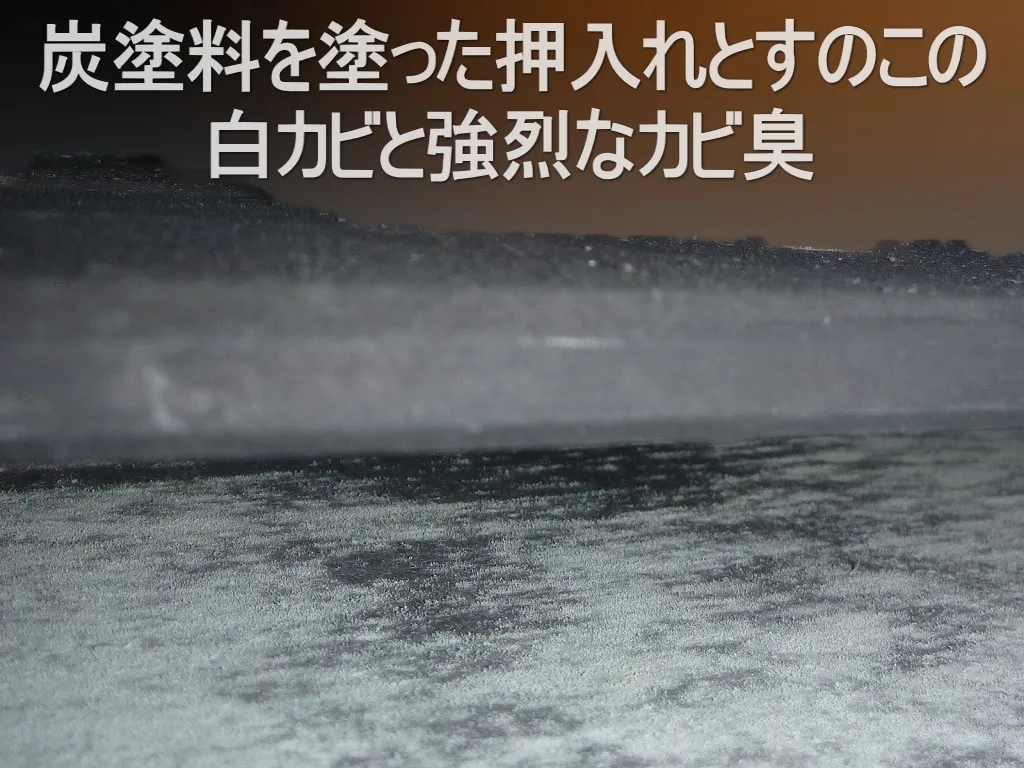 川崎市のアパート強烈なカビ臭を放つ押入れ炭塗料カビ