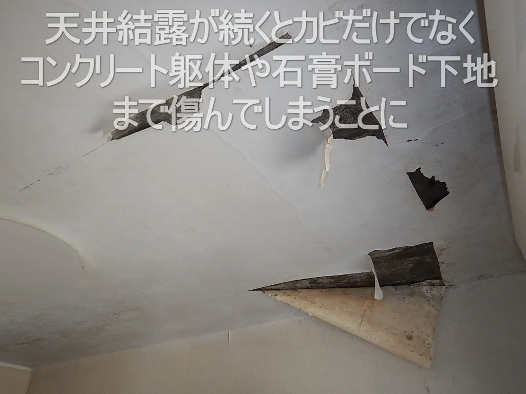 埼玉東京のマンション天井コンクリート下地結露カビを放置し続けてはいけない