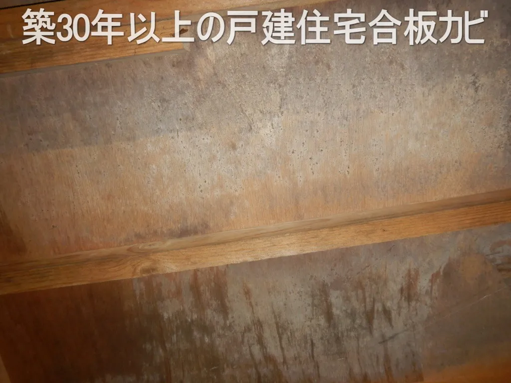 埼玉東京の築30年以上戸建住宅床下合板カビを放置してませんか