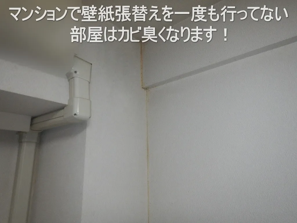 埼玉東京の中古マンションで壁紙張替えないとカビ臭くなります