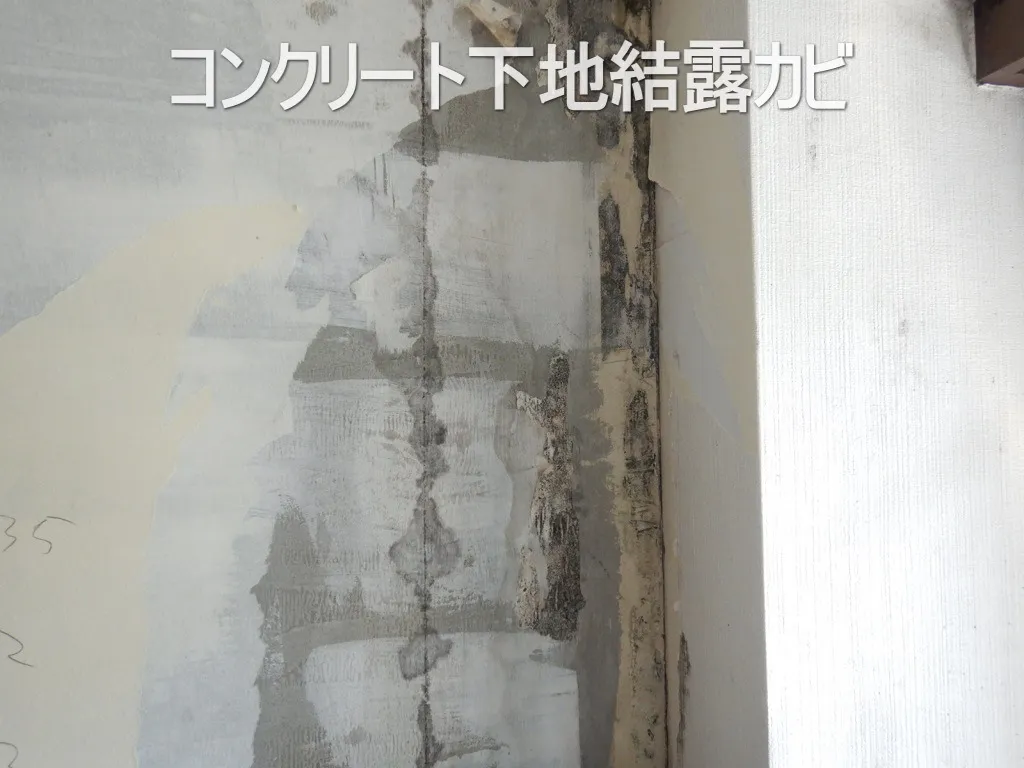 埼玉県さいたま市のマンションコンクリート直張り壁紙結露カビ