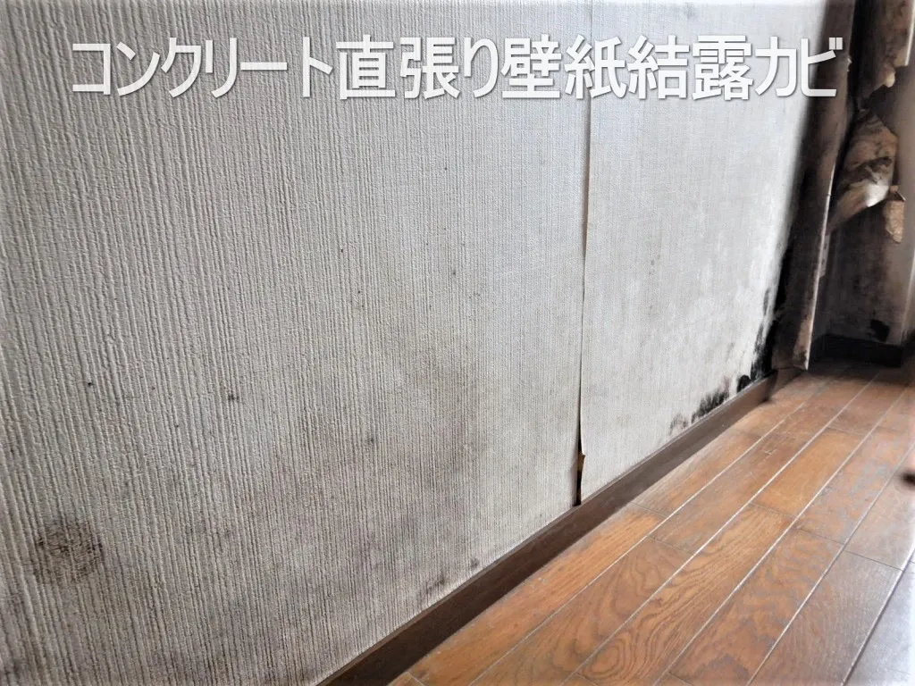 埼玉県さいたま市のマンションコンクリート直張り壁紙結露カビ