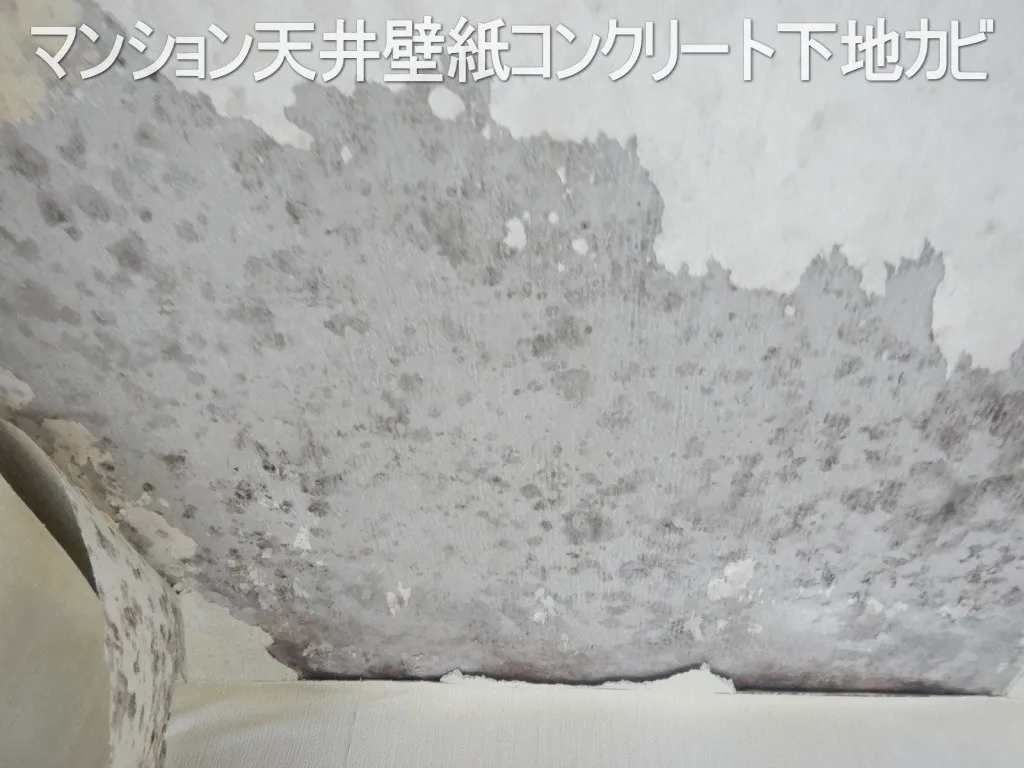 昼と朝の寒暖差で発生する天井コンクリート結露カビ