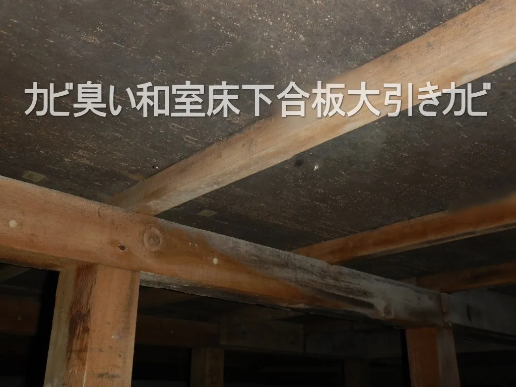 床下木材合板カビが発するカビ臭が室内に流入