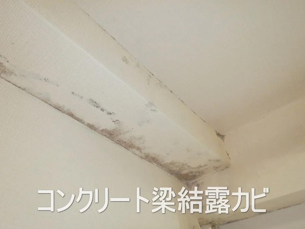東京のカビ臭がするコンクリート梁壁紙結露カビ