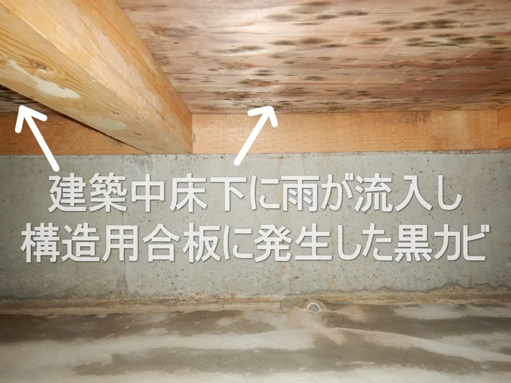 建築中住宅床下雨水による構造用合板・大引きカビは竣工までに防カビ工事必須