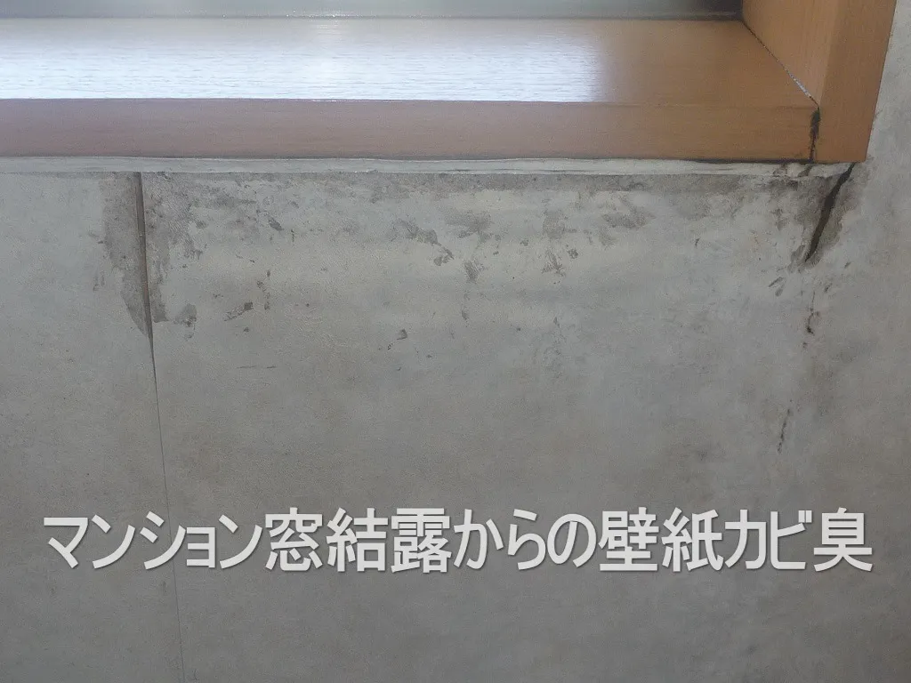 埼玉県さいたま市ガスファンヒーターによる壁紙結露カビ