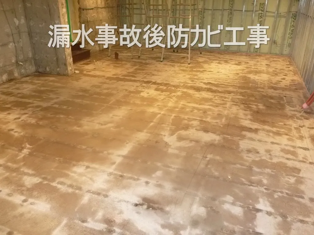 東京都渋谷区の住宅漏水事故後防カビ工事