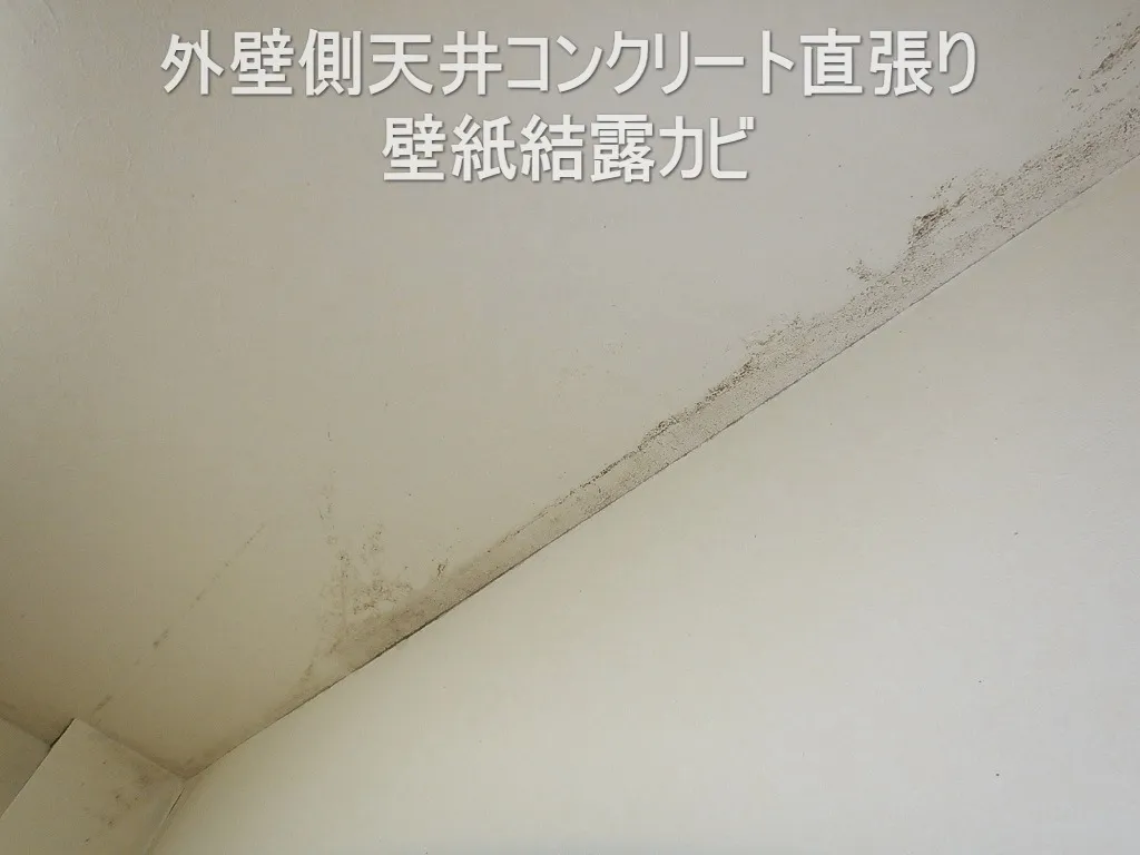 中古マンション外壁側天井コンクリート下地直張り壁紙結露カビ