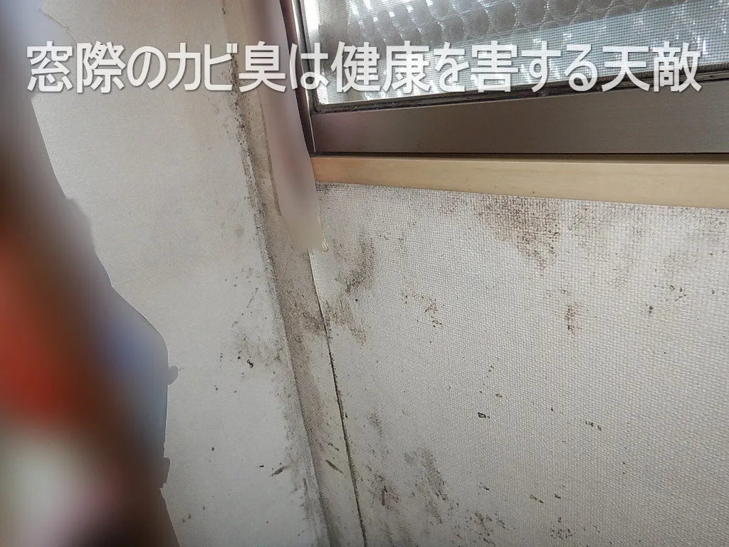 東京の中古マンション腰窓際壁紙カビからのカビ臭