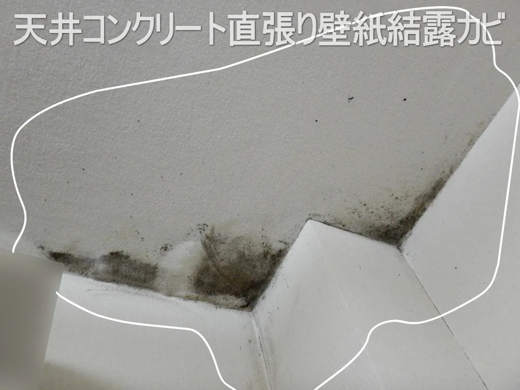 中古マンションカビ臭のする天井コンクリート直張り壁紙結露カビ