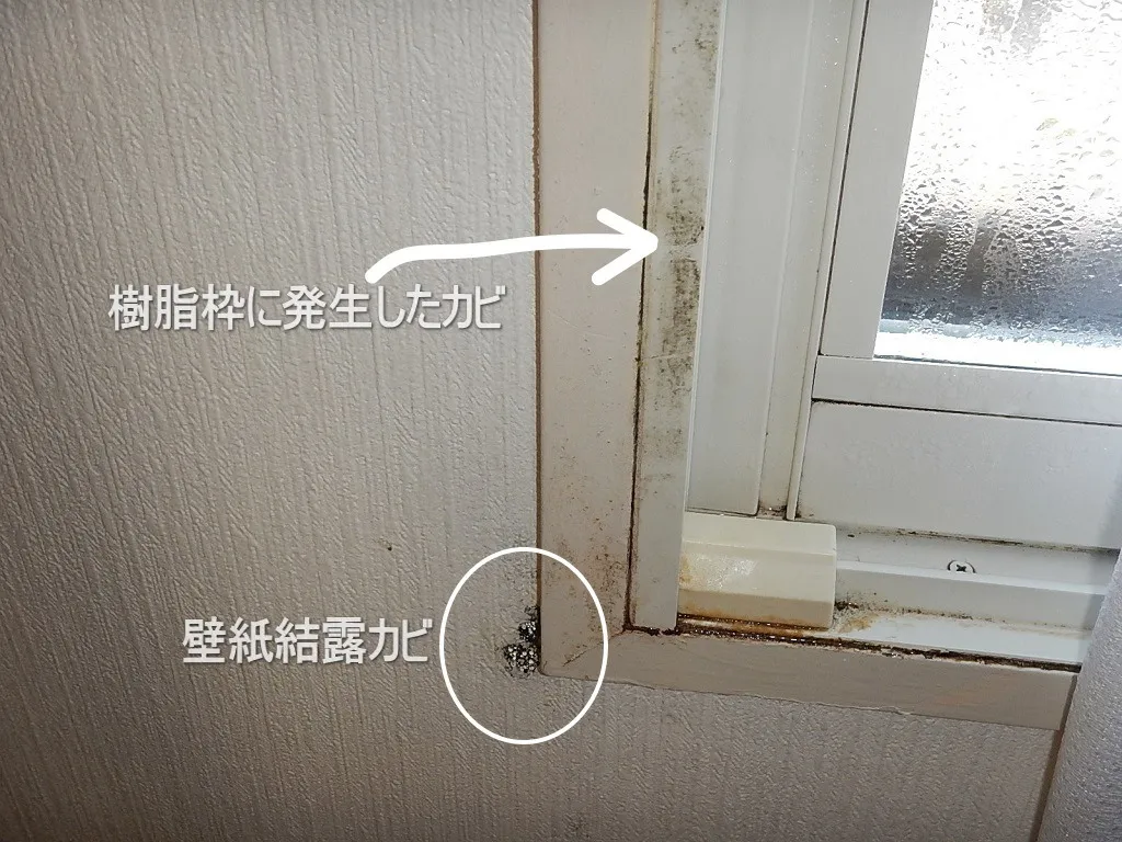 東京の中古マンション腰窓カーテンで隠れる壁紙結露カビ