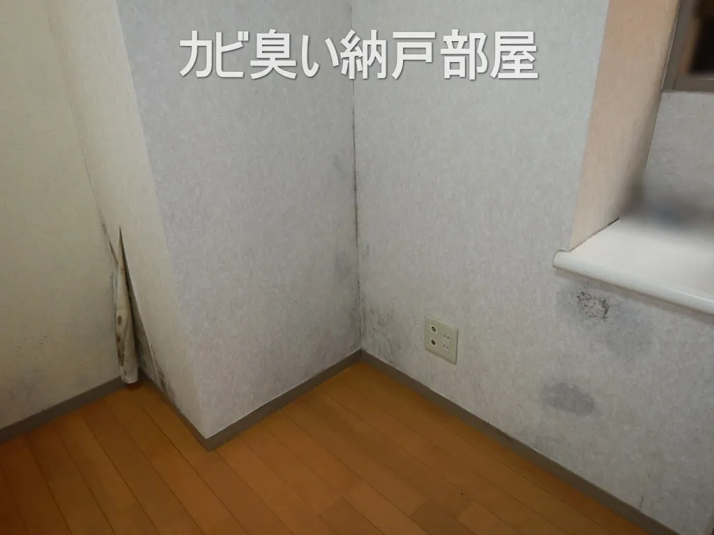 埼玉のカビ臭い納戸代わりの部屋を子供部屋にするなら防カビ工事が必須