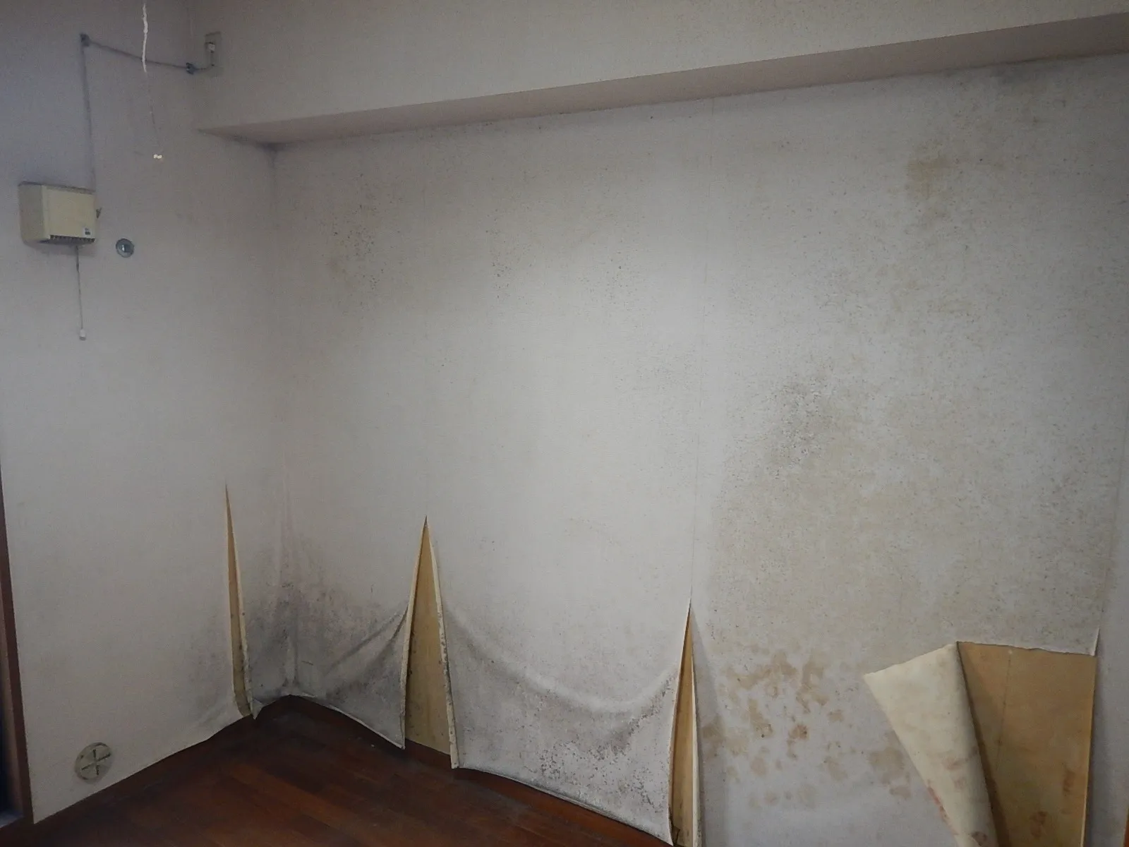埼玉・東京の中古マンション結露カビで壁紙はがれはありませんか
